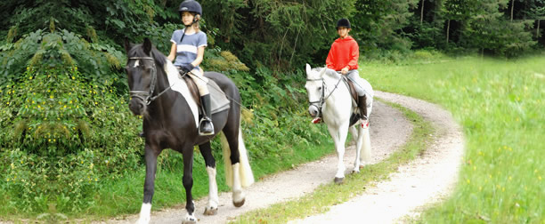 Ausritt in Eben im Pongau Salzburger Land 