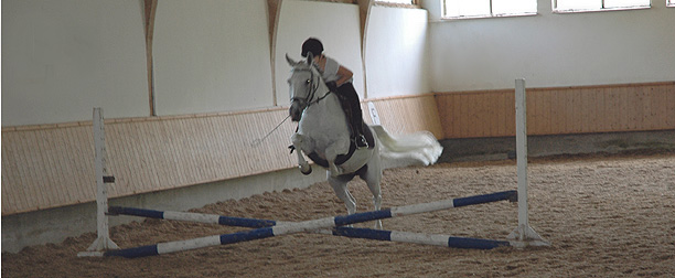 Springreiten im Unterricht 