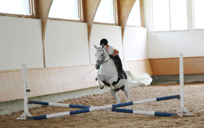 Stella beim Springunterricht in der Reitschule Steiner